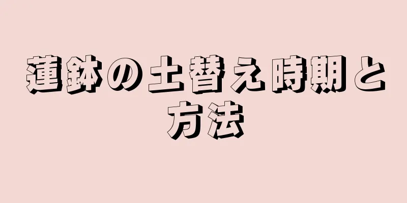 蓮鉢の土替え時期と方法