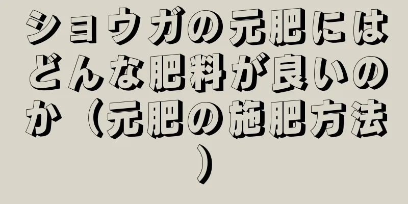 ショウガの元肥にはどんな肥料が良いのか（元肥の施肥方法）
