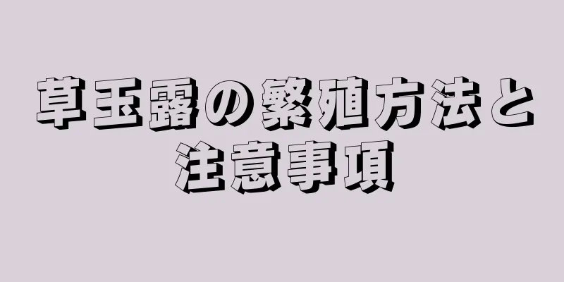 草玉露の繁殖方法と注意事項