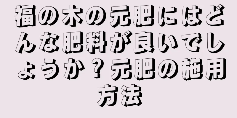 福の木の元肥にはどんな肥料が良いでしょうか？元肥の施用方法
