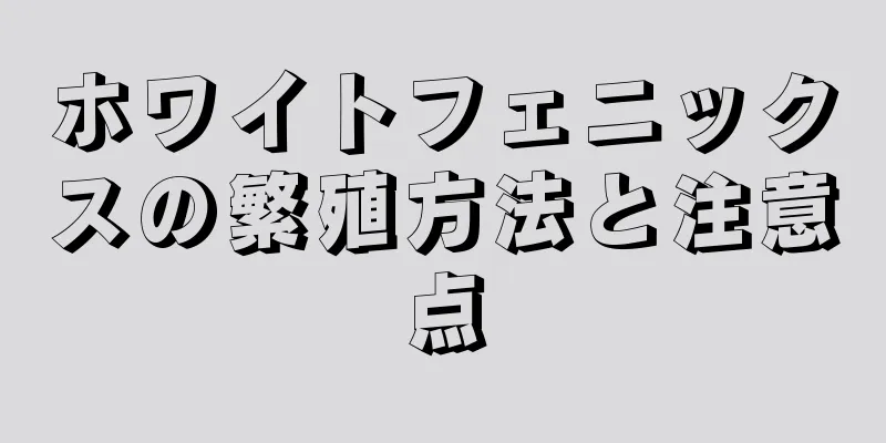 ホワイトフェニックスの繁殖方法と注意点