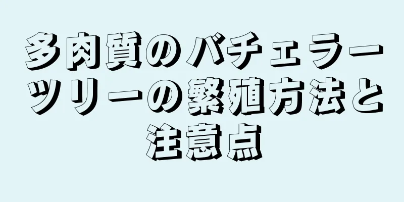 多肉質のバチェラーツリーの繁殖方法と注意点