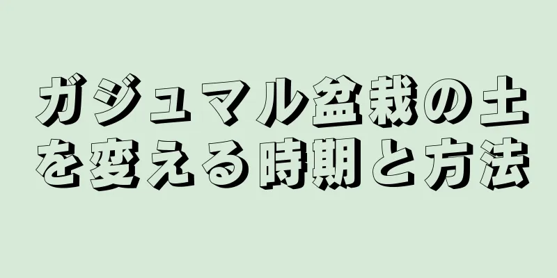 ガジュマル盆栽の土を変える時期と方法