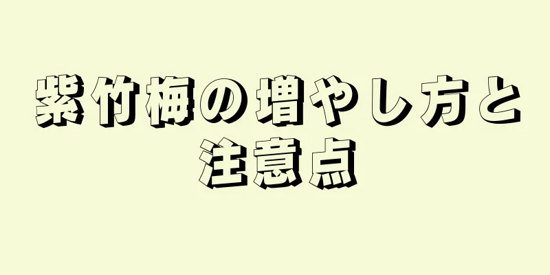 紫竹梅の増やし方と注意点
