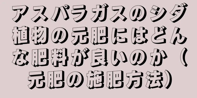 アスパラガスのシダ植物の元肥にはどんな肥料が良いのか（元肥の施肥方法）