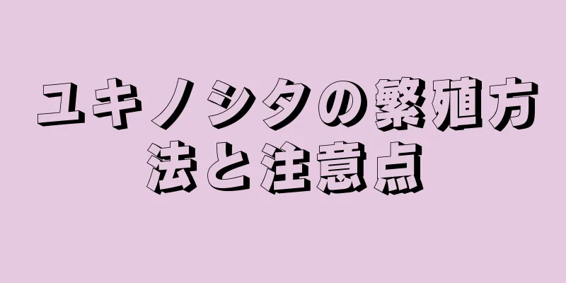 ユキノシタの繁殖方法と注意点