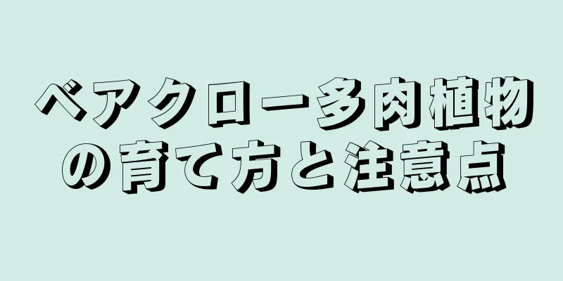 ベアクロー多肉植物の育て方と注意点