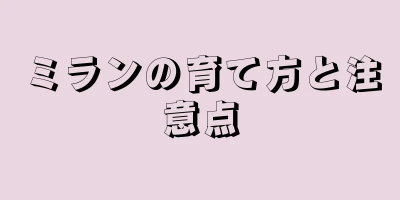ミランの育て方と注意点