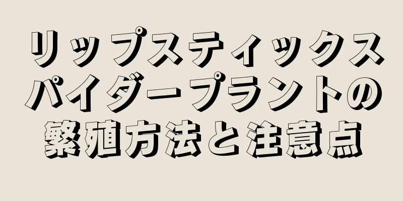 リップスティックスパイダープラントの繁殖方法と注意点