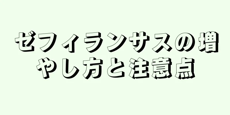 ゼフィランサスの増やし方と注意点
