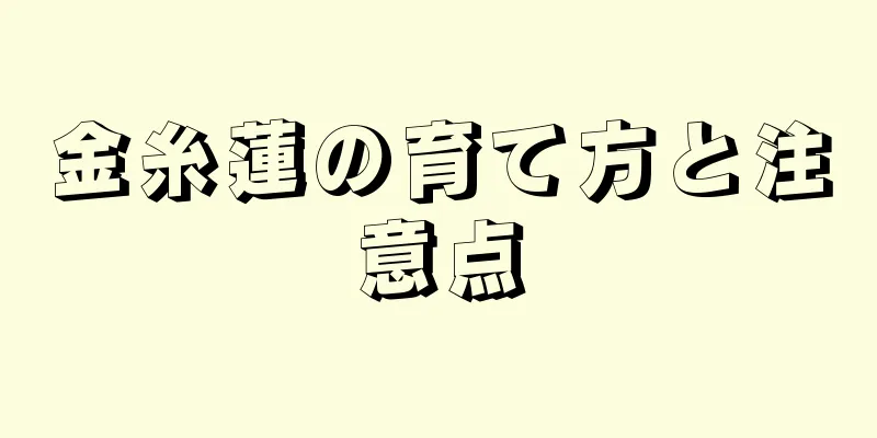 金糸蓮の育て方と注意点