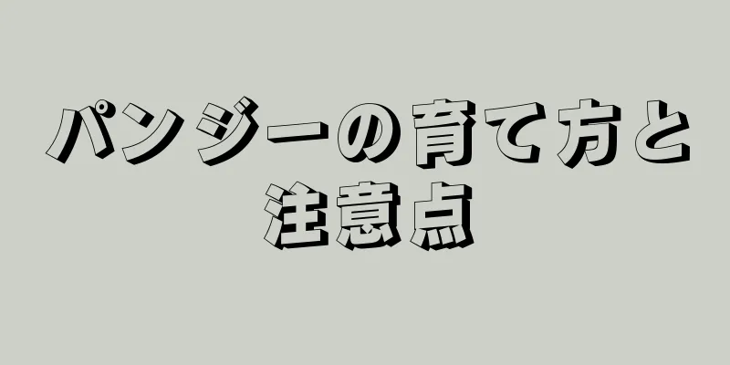パンジーの育て方と注意点