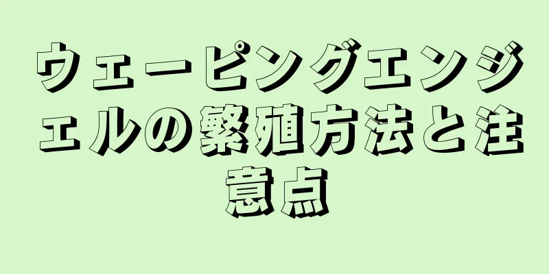 ウェーピングエンジェルの繁殖方法と注意点