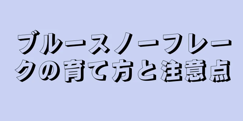ブルースノーフレークの育て方と注意点