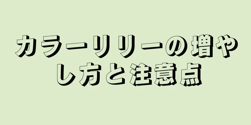 カラーリリーの増やし方と注意点
