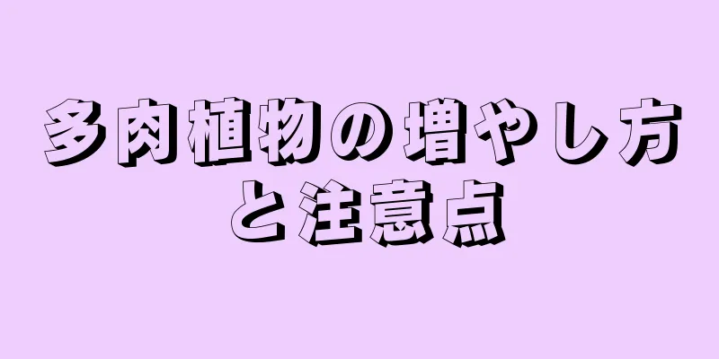 多肉植物の増やし方と注意点