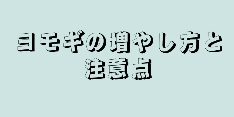 ヨモギの増やし方と注意点