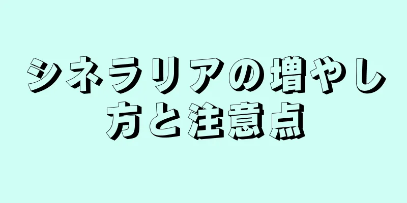 シネラリアの増やし方と注意点