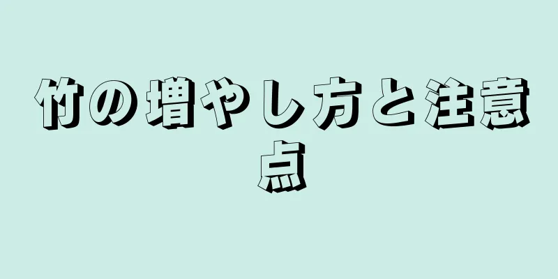 竹の増やし方と注意点