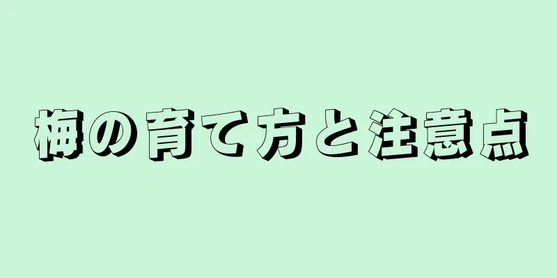 梅の育て方と注意点