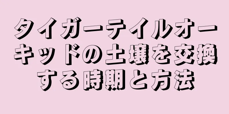 タイガーテイルオーキッドの土壌を交換する時期と方法