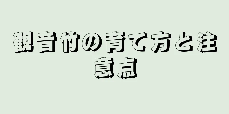 観音竹の育て方と注意点
