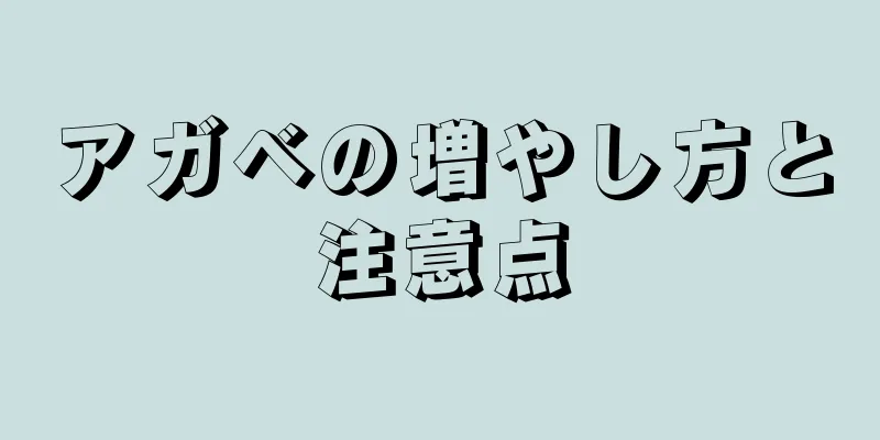 アガベの増やし方と注意点
