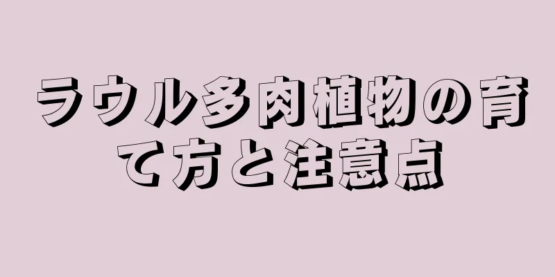 ラウル多肉植物の育て方と注意点