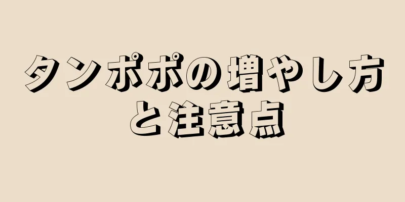 タンポポの増やし方と注意点