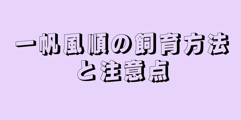 一帆風順の飼育方法と注意点