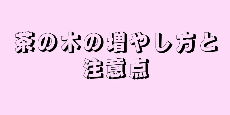 茶の木の増やし方と注意点