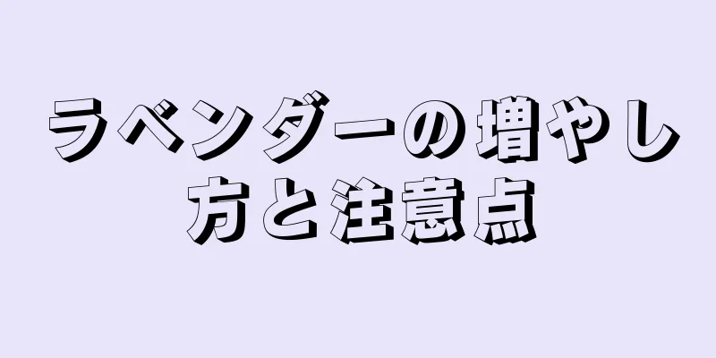 ラベンダーの増やし方と注意点