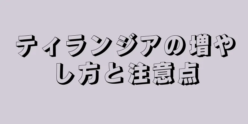 ティランジアの増やし方と注意点