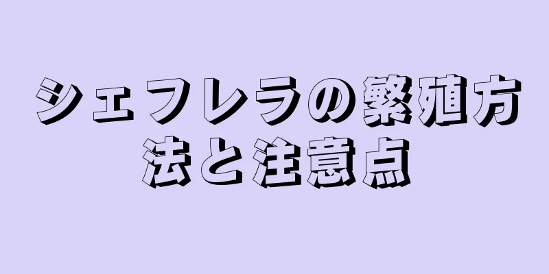 シェフレラの繁殖方法と注意点