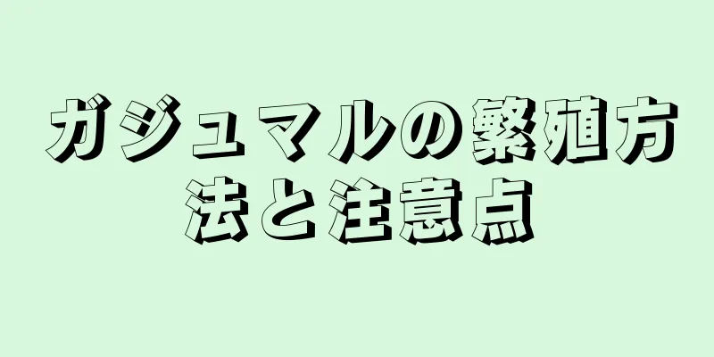 ガジュマルの繁殖方法と注意点
