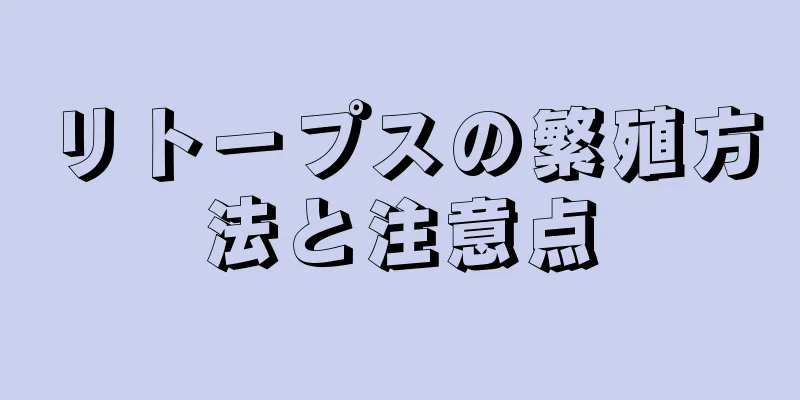 リトープスの繁殖方法と注意点