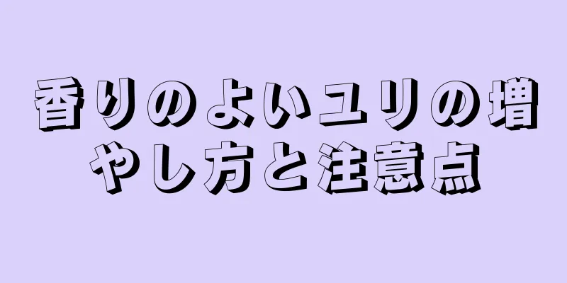 香りのよいユリの増やし方と注意点