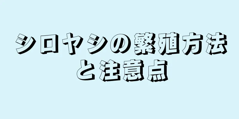シロヤシの繁殖方法と注意点