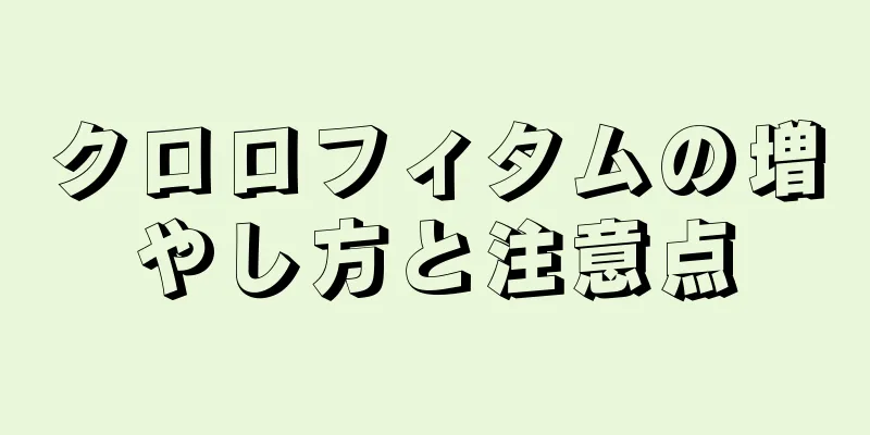 クロロフィタムの増やし方と注意点