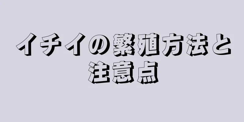 イチイの繁殖方法と注意点