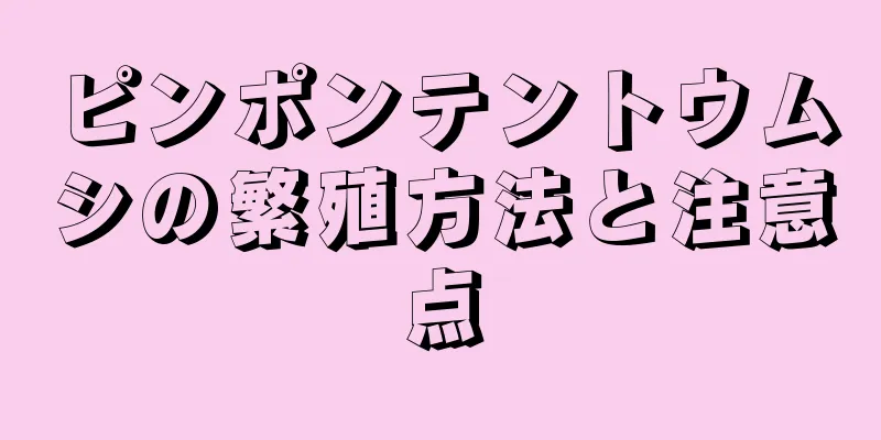 ピンポンテントウムシの繁殖方法と注意点