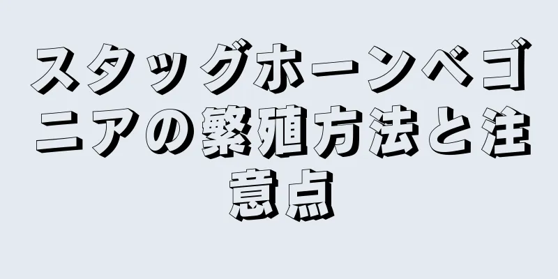 スタッグホーンベゴニアの繁殖方法と注意点