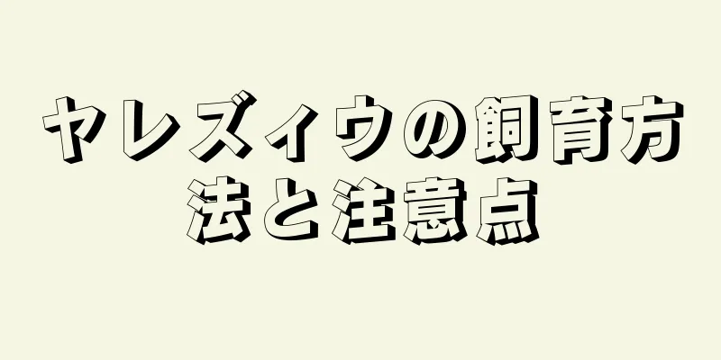 ヤレズィウの飼育方法と注意点