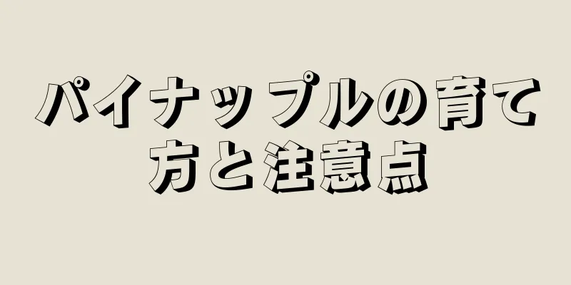 パイナップルの育て方と注意点