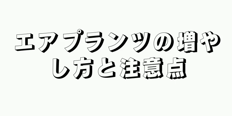 エアプランツの増やし方と注意点