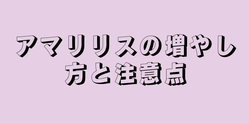 アマリリスの増やし方と注意点
