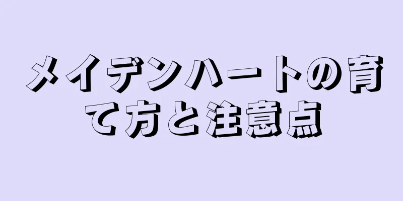 メイデンハートの育て方と注意点
