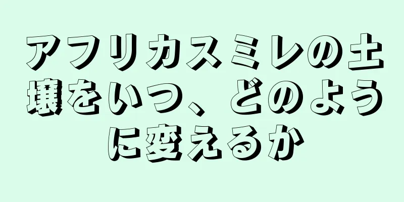 アフリカスミレの土壌をいつ、どのように変えるか