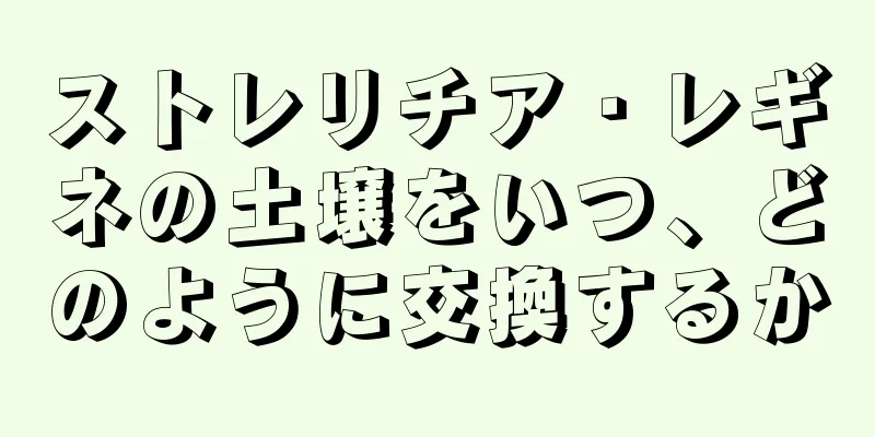 ストレリチア・レギネの土壌をいつ、どのように交換するか