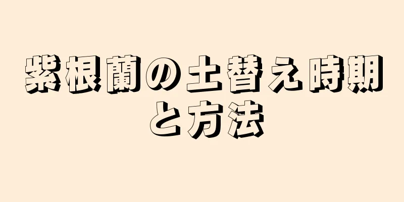 紫根蘭の土替え時期と方法